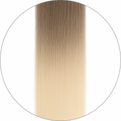 Long Lasting, #11/1001 Balayage, 50cm, 50g, Haiweft