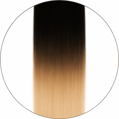 Balayage #1/6001, 50cm, 110g, Clip-on