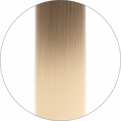 Long Lasting, #11/1001 Balayage, 50cm, 50g, Haiweft